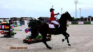 Horse show jumping falls compilation [upl. by Eatnoj]