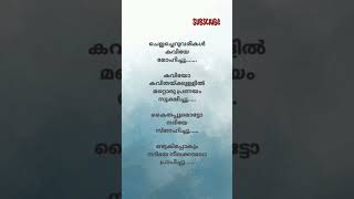 Chella cheruvarikal song lyrics Irulil oru kaithiri Spanish masala musicshorts [upl. by Ahsratan]