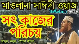 সৎ কাজের পরিচয়। Maulana Delwar Hossain Saidi Waz Video [upl. by Cerelia]