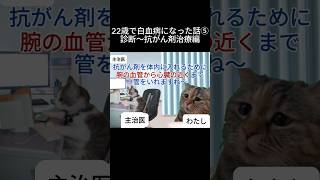 22歳で白血病になった話⑤ 自己啓発 闘病 辛い 白血病 猫ミーム [upl. by Nohtan]