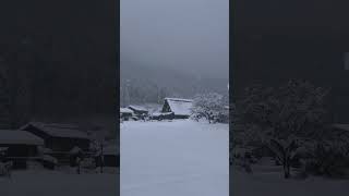 Shirakawago 🇯🇵 invierno winter japantravel japaneseculture village japanlife lovejapan [upl. by Leandro]