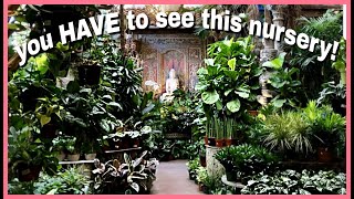 Indoor Plant Shopping  House Plant Haul [upl. by Hcelemile]