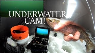 ICE FISHING Local Pond for TROUT  w UNDERWATER CAMERA [upl. by Wartow678]