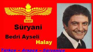 Bedri Ayseli  Halay Turkish  Arabic  Aramaic [upl. by Anes]