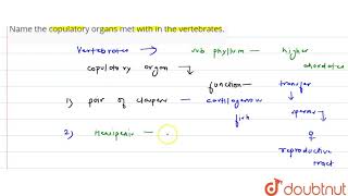 Name the copulatory organs met with in the vertebrates  11  ANIMAL KINGDOM  BIOLOGY  PRADE [upl. by Teplica]