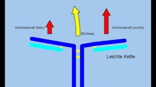 Theorie des Immunsystems Antikörper und Antigene [upl. by Swetlana]