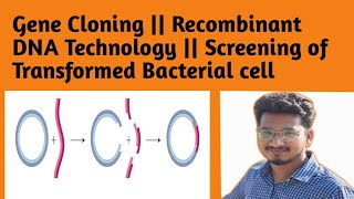 Plant Biotechnology  12  Gene Cloning  Recombinant DNA Technology  Genetic engineering rdna [upl. by Tremayne302]