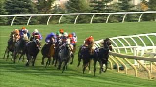 1996 Breeders Cup Mile [upl. by Chiquia]