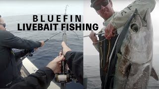 Catching Bluefin Tuna on Live Bait  Private Boat [upl. by Kela]