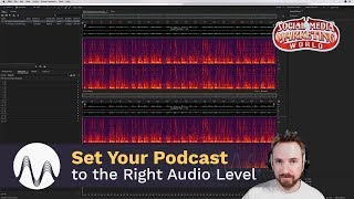 How to Set Your Podcast to the Right Audio Level [upl. by Caroline361]