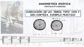 CUBICACIÓN DE UN ÁRBOL TIPO [upl. by Gaulin]