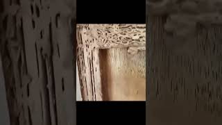 STOP Letting Termites Eat Away Your Home [upl. by Garland]