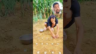 কিভাবে বাদাম চাষ করতে হয়  How to Grow Almonds almond বাদাম চাষ funny funnyshorts shortvideo [upl. by Ulrich]