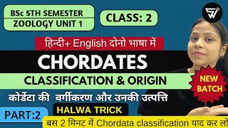 Trick to learn Classification of Phylum Chordata in 2 mins🤩Origin of chordatesBSc 5th Semester [upl. by Noicpecnoc910]