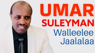 Sirboota Umar Suleyman Lovely Oromo Music HD Full Album Part 1 [upl. by Anak]