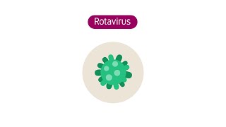 Wat is het rotavirus [upl. by Anib595]