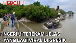 VIRAL PULAU JELMAAN ULAR LAGI VIRAL DI JAWA TIMUR [upl. by Magdalen]