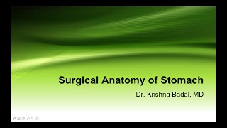 Surgical anatomy and relevant physiology of stomach [upl. by Alexandria627]