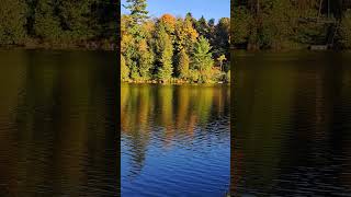 Muskoka River Fall Colors muskoka muskokalife fallcolors [upl. by Venditti]