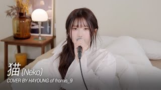 1시간 하영 프로미스나인  猫Neko Original by DISH fl▶ylist [upl. by Vin]