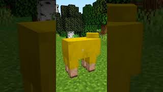 quotMinecraft Java vs Bedrock Which is Betterquot [upl. by Amocat]