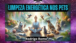 Limpeza Energética nos Pets  Rodrigo Romo [upl. by Elli450]