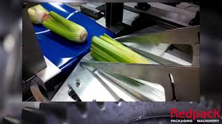 NTS machine using its rotary system to cut to length on each product [upl. by Margarita]