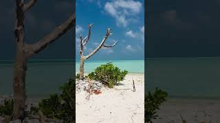 Lakshadweep Best time to visit Lakshadweep shorts travel [upl. by Janessa235]