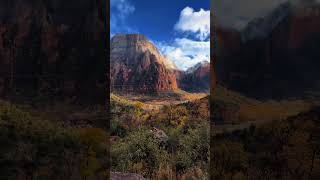 Hiking in Zion 🏜️ nature hiking travel nationalpark outdoors explore foryou [upl. by Mit645]