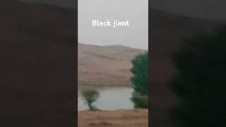 Isaw a black jiant [upl. by Nonnahsal668]