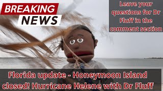 Hurricane Helene at Honeymoon Island  Dunedin Causeway with Dr Fluff [upl. by Ynneg279]