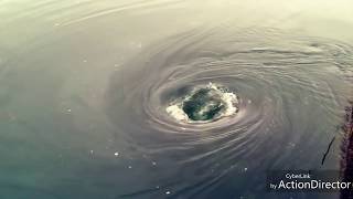 GIANT WHIRLPOOL COMPILATION WITH LINKS [upl. by Ettesoj998]