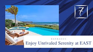 Stunning Luxury Villas for Sale on Barbadoss Secluded East Coast [upl. by Latoyia799]