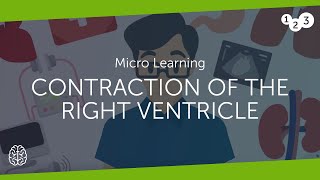 Contraction of the right ventricle [upl. by Carmelo559]