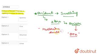 Oviduct of female Frog has a swelling or ovisac for storing [upl. by Amelus]