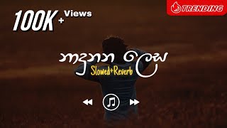 Pawasanna  නාදුනන ලෙස SlowedReverb [upl. by Arrol129]