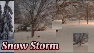 Snow Storm OutsideWinter is HereSnow FallingColoradoAsmr shortsfeed [upl. by Laynad]