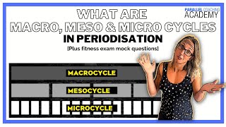 What are Macrocycles Mesocycles and Microcycles in Periodisation [upl. by Agni368]