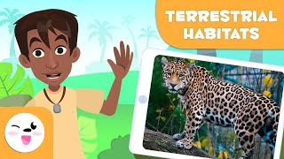 Explore Terrestrial Habitats  Types of Habitats for Children [upl. by Robinett]