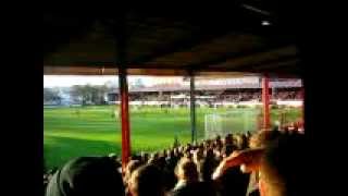 AFC Wimbledon AFC Wimbledon fans  show me the way to plough lane [upl. by Perrine]