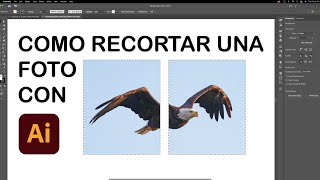 Como recortar una foto en illustrator 2021 [upl. by Means]