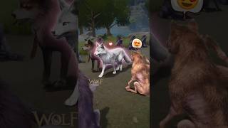 Lomdi ne romance kiya 😭 viralvideo wolf gaming animals trending ytshorts [upl. by Pax]