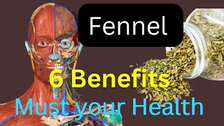 Fennel benefits Benefits of fennel for health [upl. by Alihet218]