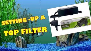 SETTING UP THE VENUS AQUA 600T TOP FILTER Filter Waterfilter Aquascapephilippines Venusaqua [upl. by Quinn614]