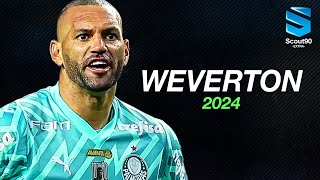 Weverton 2024 ► Palmeiras  Defesas Incríveis amp Reflexos Absurdos  HD [upl. by Odlaw800]