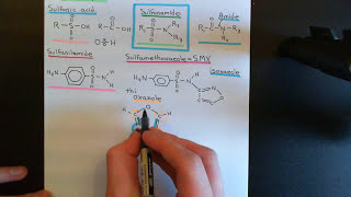 Folate Antagonist Antibiotics Part 1 [upl. by Mokas]