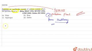 Raphides are needlelike crystals of calcium oxalate which are specially found in [upl. by Gnilyarg]