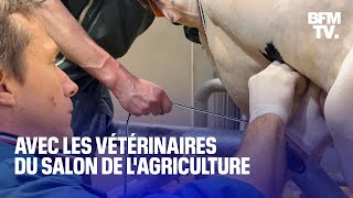 En immersion avec les vétérinaires du Salon de lagriculture [upl. by Halliday]