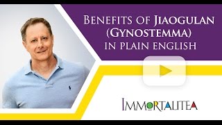 Benefits Of Jiaogulan Gynostemma in Plain English [upl. by Aksoyn]