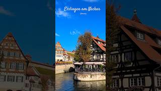 A Day in Esslingens Enchanted Old Town badenwuerttemberg travelshorts germany europe [upl. by Cornwall]